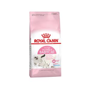 Royal Canin แม่และลูกแมว สูตร Babycat