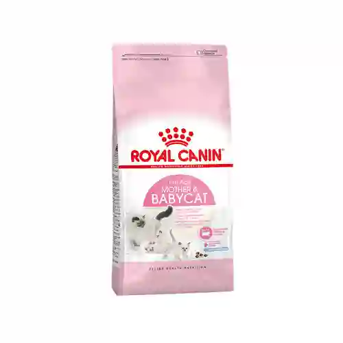 Royal Canin แม่และลูกแมว สูตร Babycat
