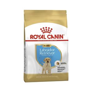 Royal Canin ลูกสุนัข สูตร Labrador Retriever ลาบาดอร์
