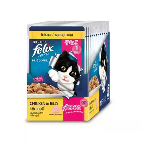 ฟิลิก,เพาซ์แมว,เพาซ์,เพาช์,pounch,อาหารเปียก,ซอง,แมว,เพา,เพาช์แมว,เพาแมว,เพ้า,ฟีลิก,purina,nestle,เพียวริน่า