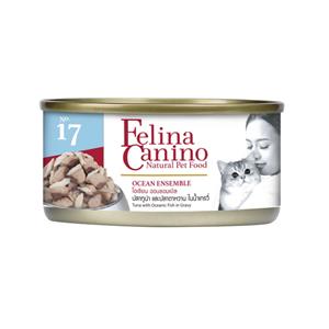 Felina Canino แมวโต รสOcean No.17
