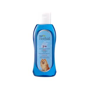 เชนการ์ด Herbal Experience Conditioner แชมพู สูตรชิโคริ ฟ้า 500ซีซี