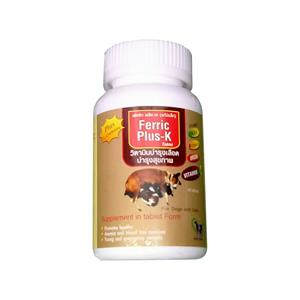 Ferric Plus วิตามินบำรุงเลือด 40เม็ด