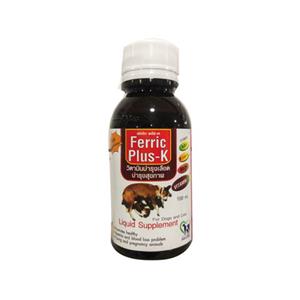 Ferric Plus วิตามินบำรุงเลือด ชนิดน้ำ 100ซีซี