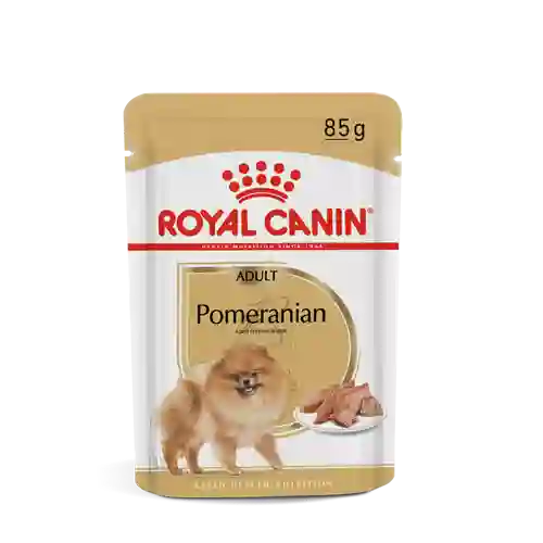 เพาซ์,เพาช์,pounch,เพาซ์หมา,เพาช์หมา,เพาหมา,เพาช์สุนัขอาหารเปียก,ซอง,หมา,รอยัลคานิน,โรยัลคานิน,คานิน,kanin,ปอม,ปลอม,pom,pomeranian