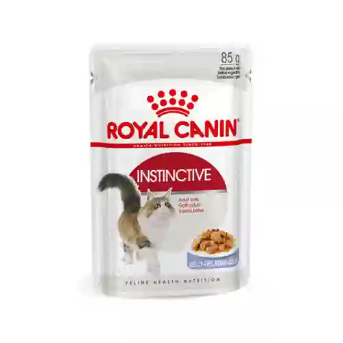 โรยัล,รอยัลคานิน,โรยัลคานิน,คานิน,kanin,เพาซ์แมว,เพาซ์,เพาช์,pounch,อาหารเปียก,ซอง,แมว,เพา,เพาช์แมว,เพาแมว,เพ้า,เพ้า,เกรวี่,เจลลี่,เยลลี่,jelly