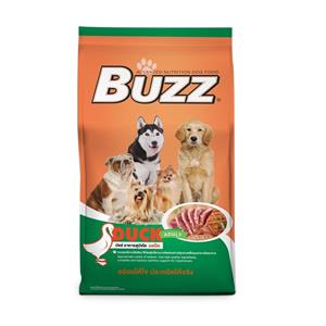 Buzz สุนัขโต ทุกสายพันธุ์