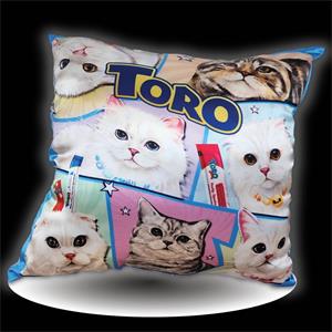 แถมToro Super Food 1ซอง + หมอนอิง