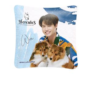 แถมหมอนอิง Hercules