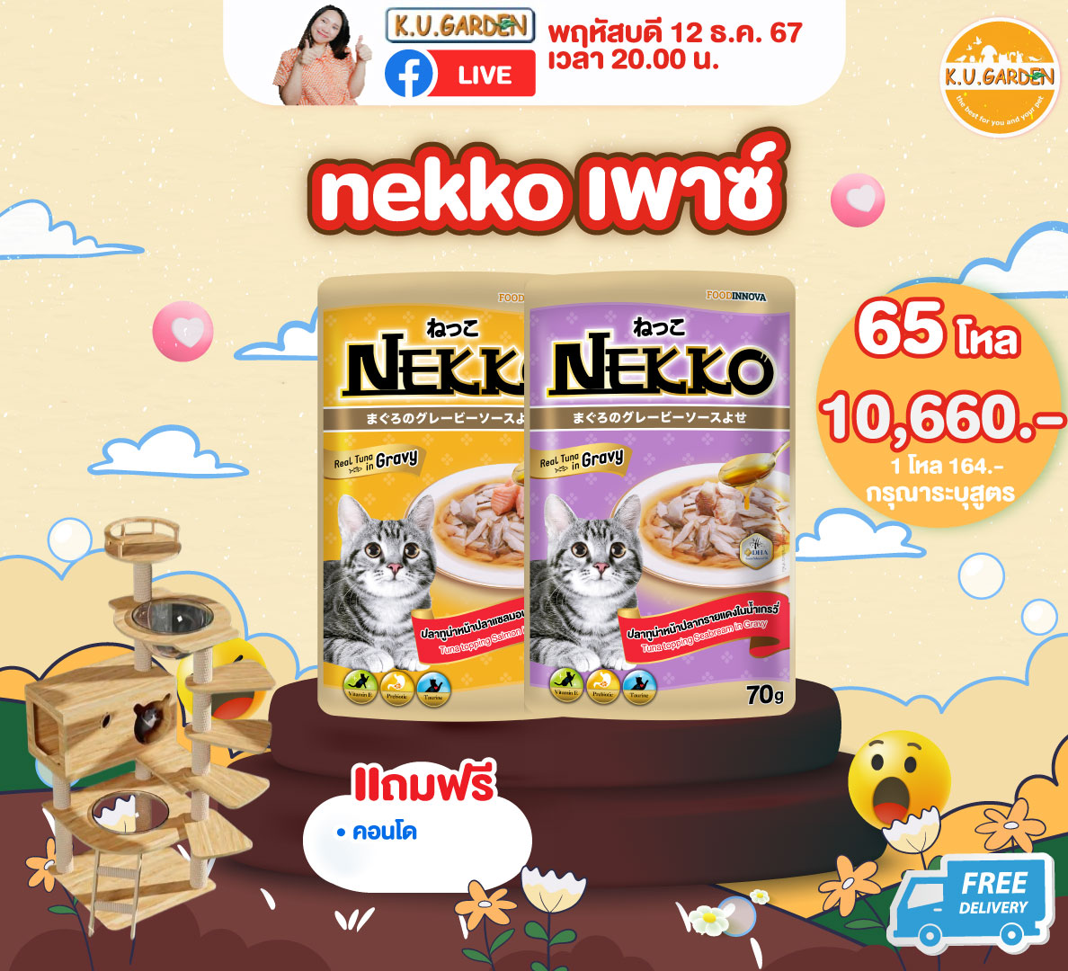 แถมที่นอนเป็ด