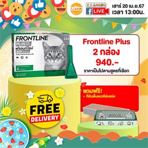 แถมที่ลับเล็บแมวคีย์บอร์ด