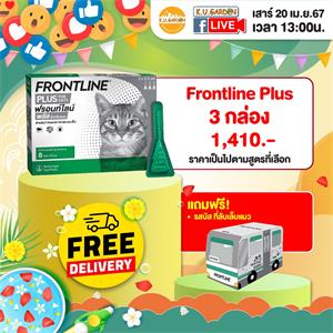 แถมกล่องลับเล็บ รถบัส