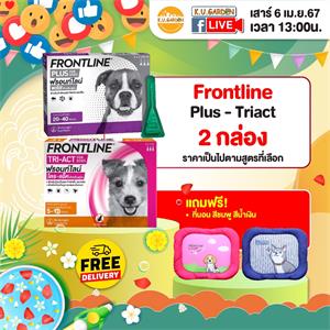 แถมที่นอนชมพู / น้ำเงิน