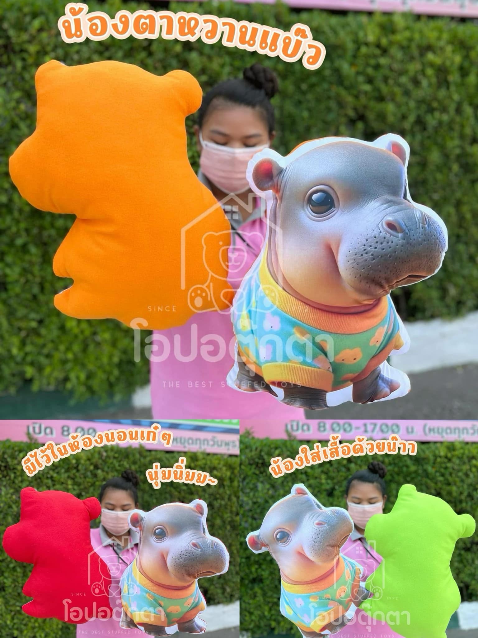 แถมคอนโดเตี้ย