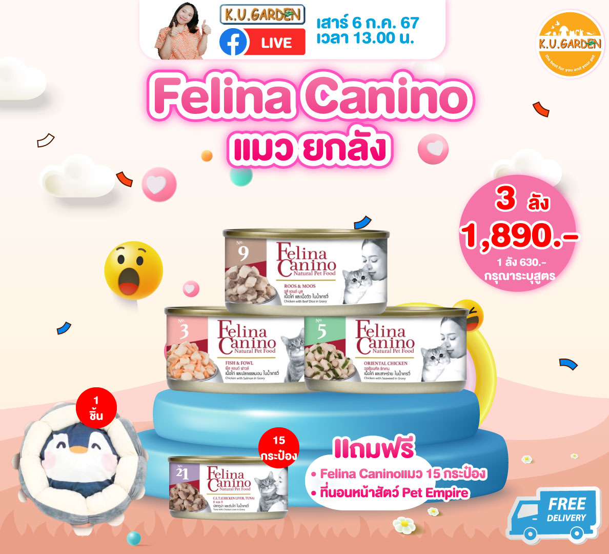 แถมFelina แมว 18กป + บ้านลับเล็บ 3ชั้น